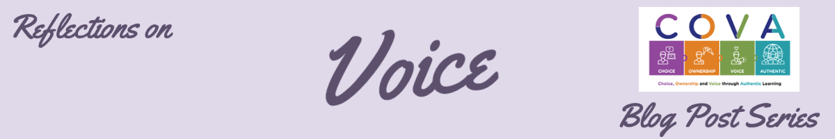 Reflections on Voice